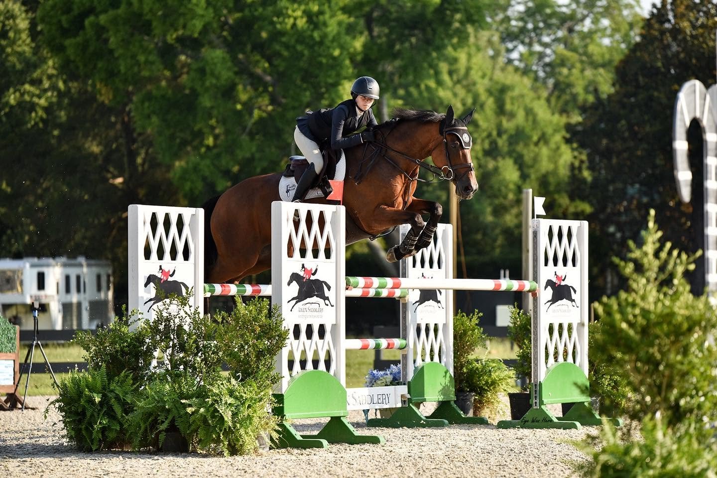 Fun in the Sun at the Aiken Summer Classic