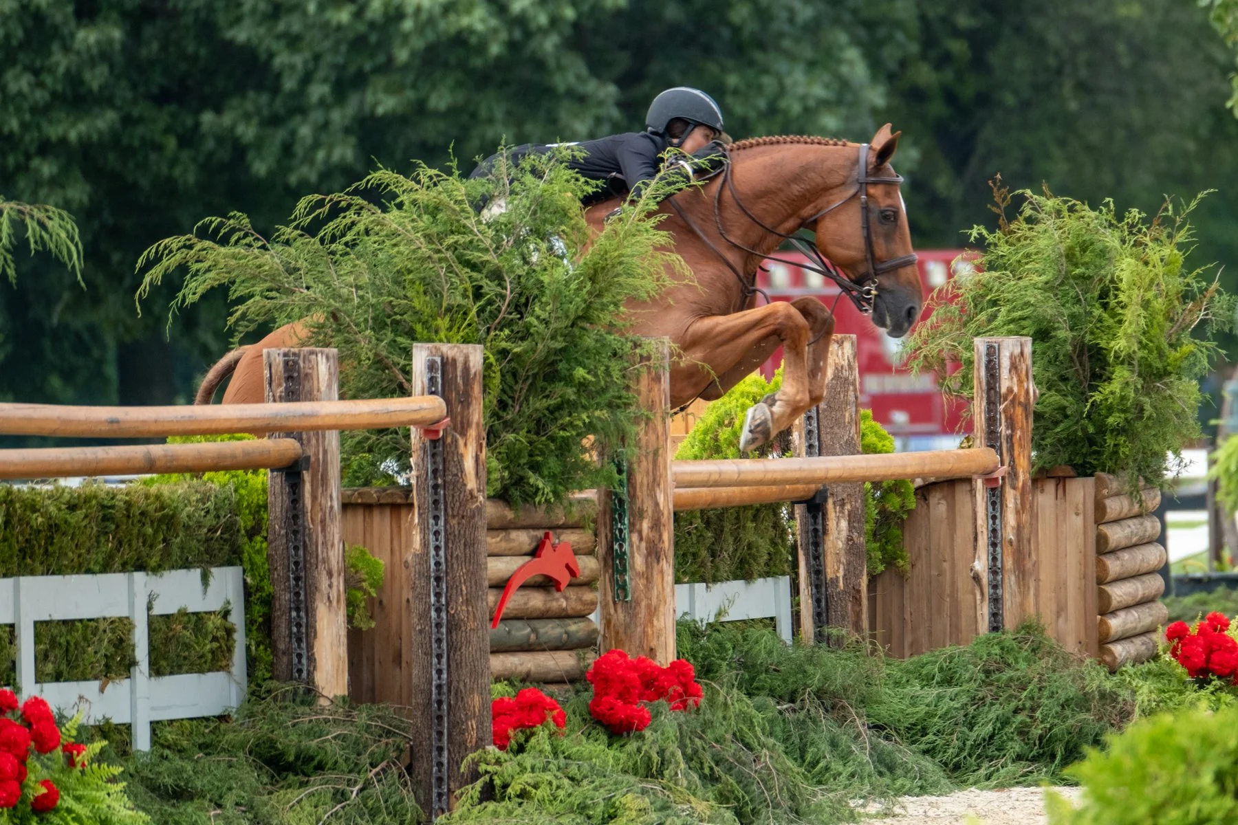 HunterWeek-0219.jpg