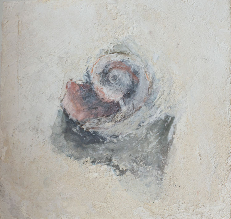 Hermet Crab Shell