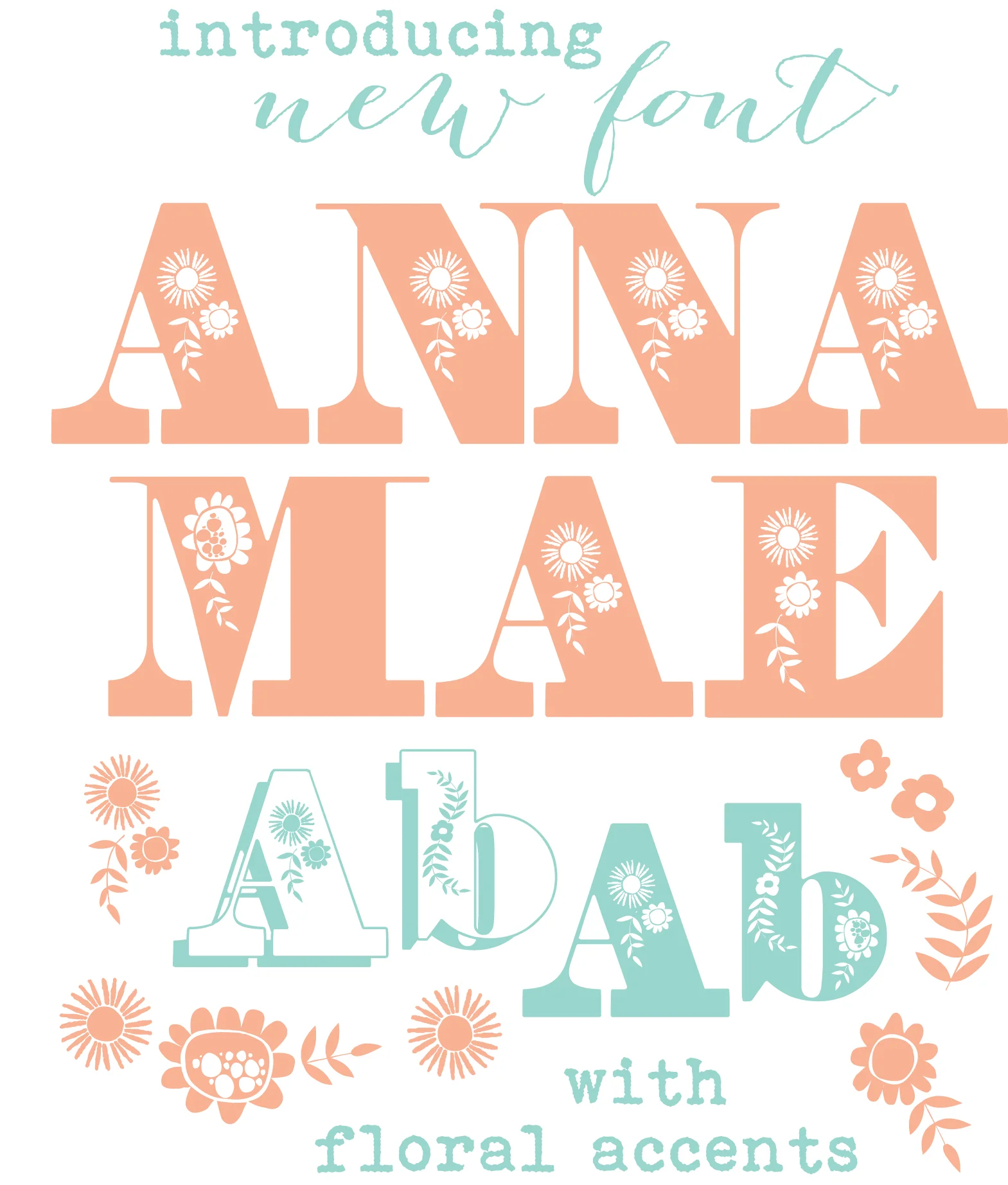 AnnaMeaFontIntroduction.jpg