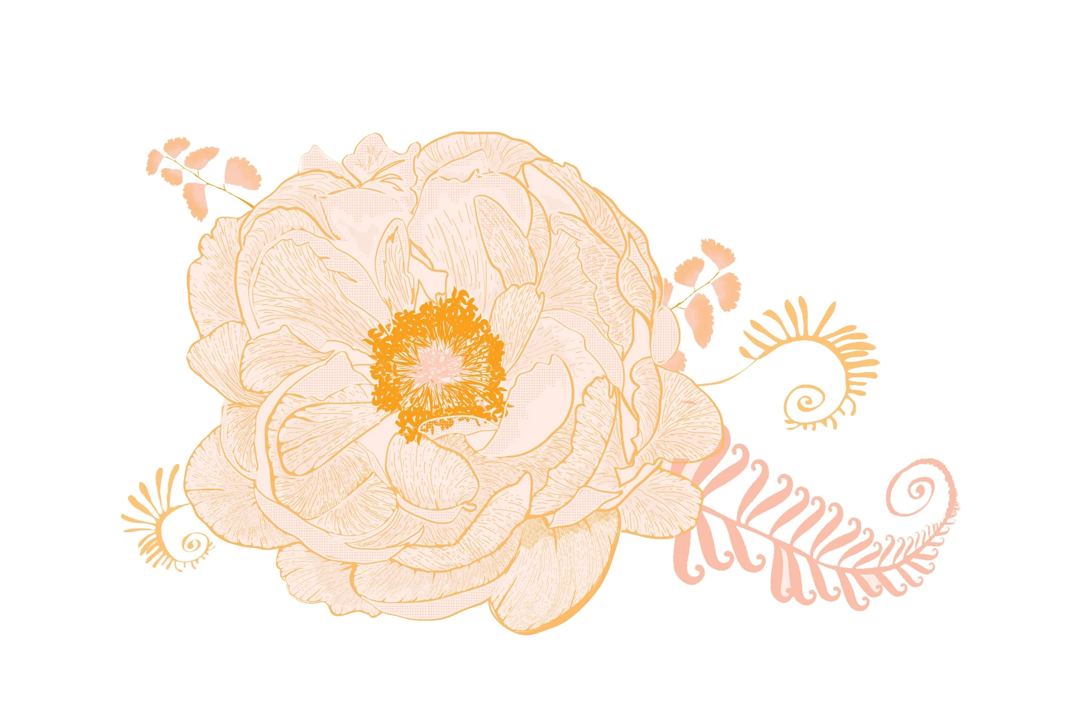 Illustration_ImageTitle.jpg