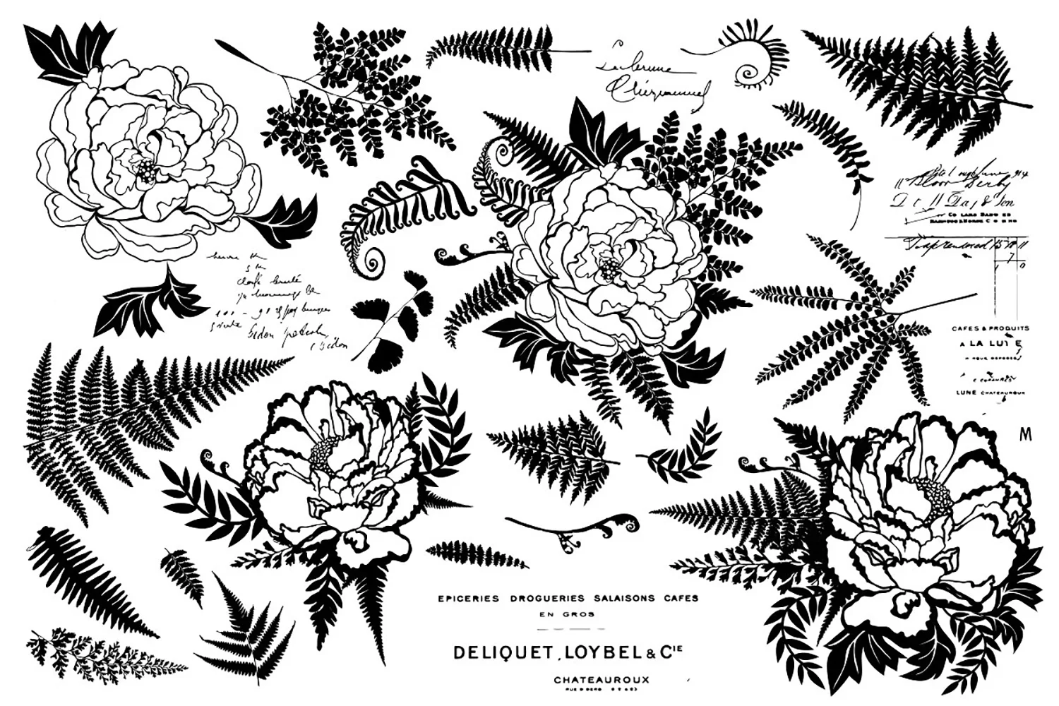 peony-fern-illustrations_fullsheet-.jpg