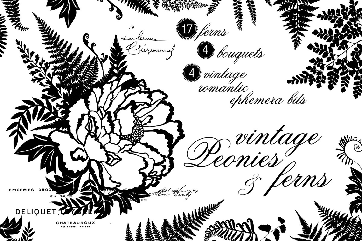 peony-fern-illustrations_title-.jpg