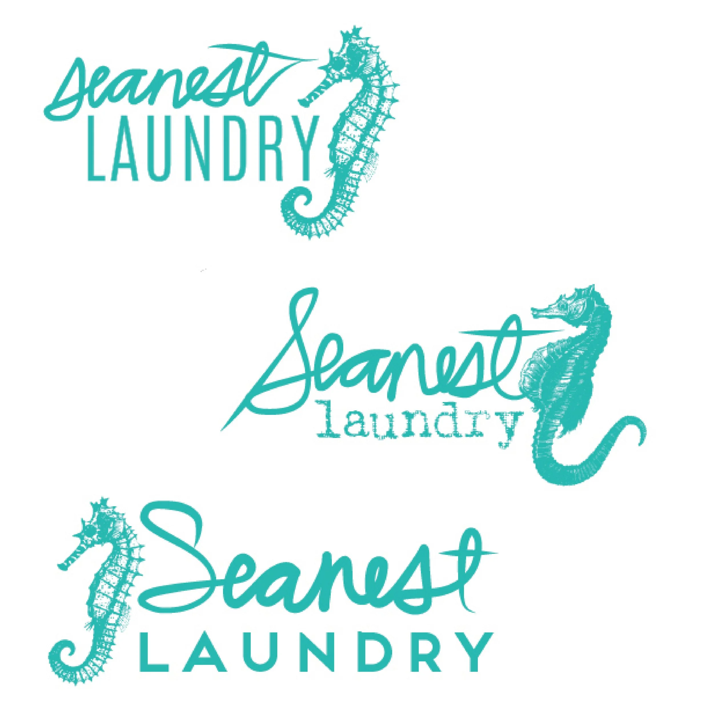 SeanestLaundry_Shares-02.jpg