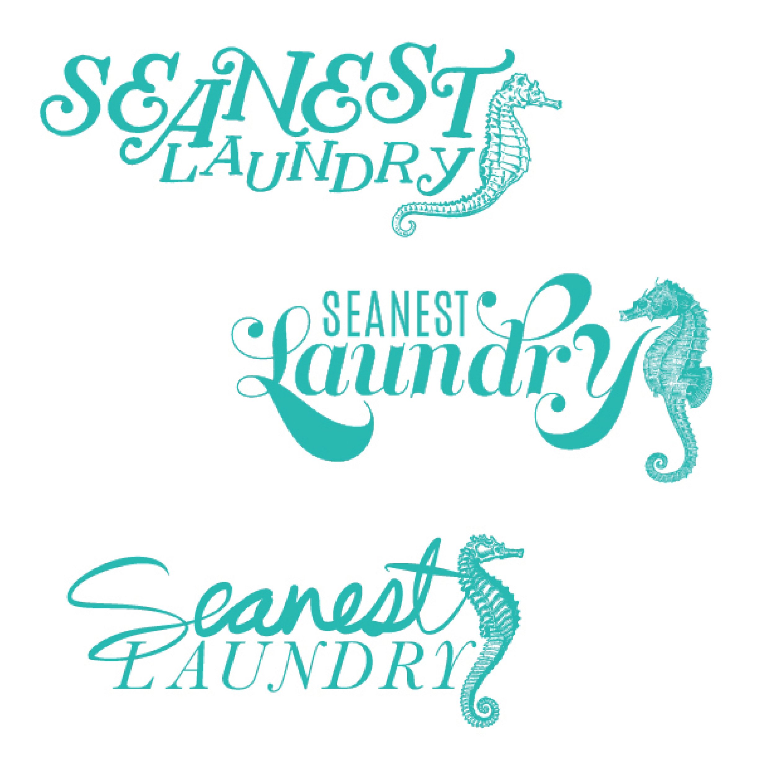 SeanestLaundry_Shares-01.jpg