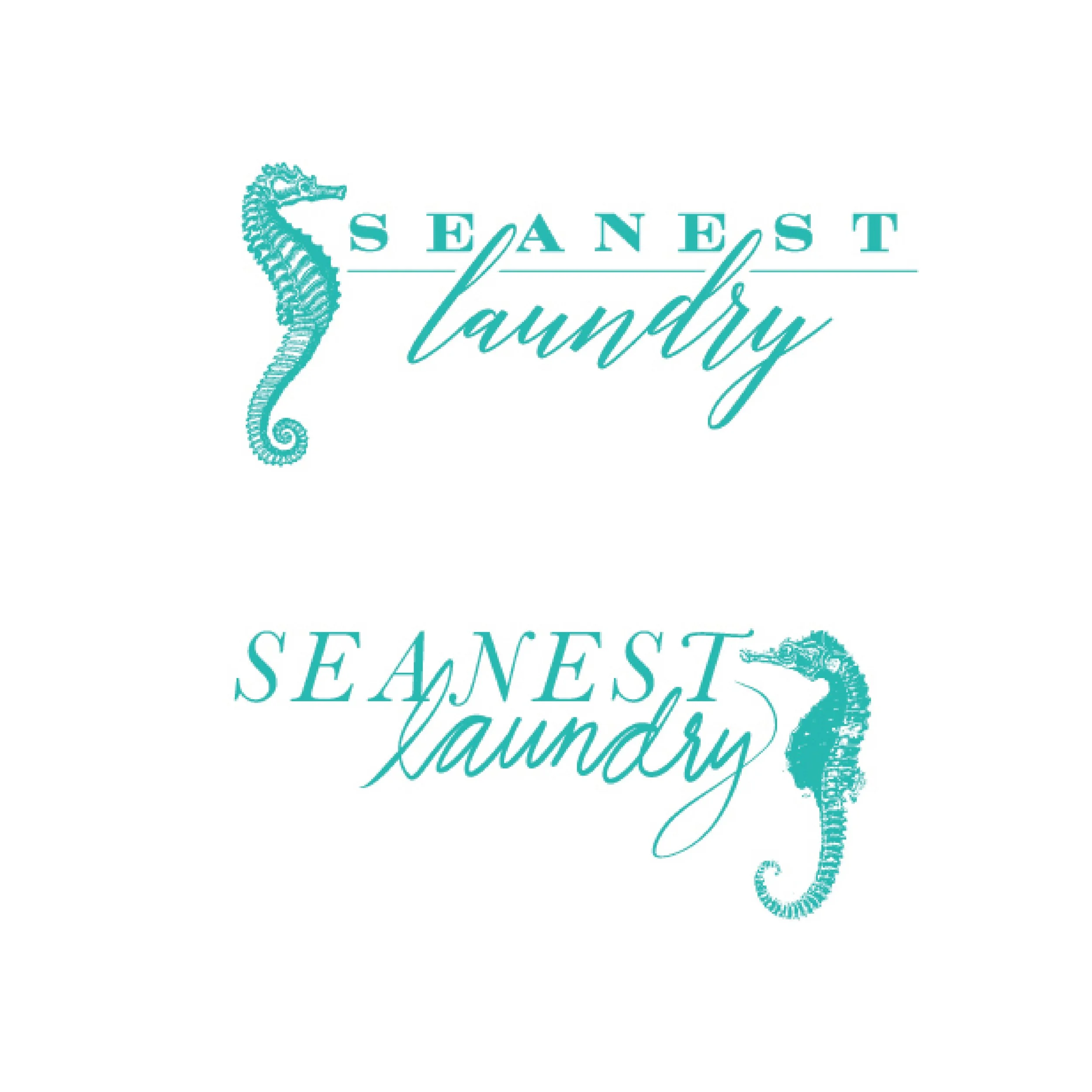 SeanestLaundry_Shares-03.jpg