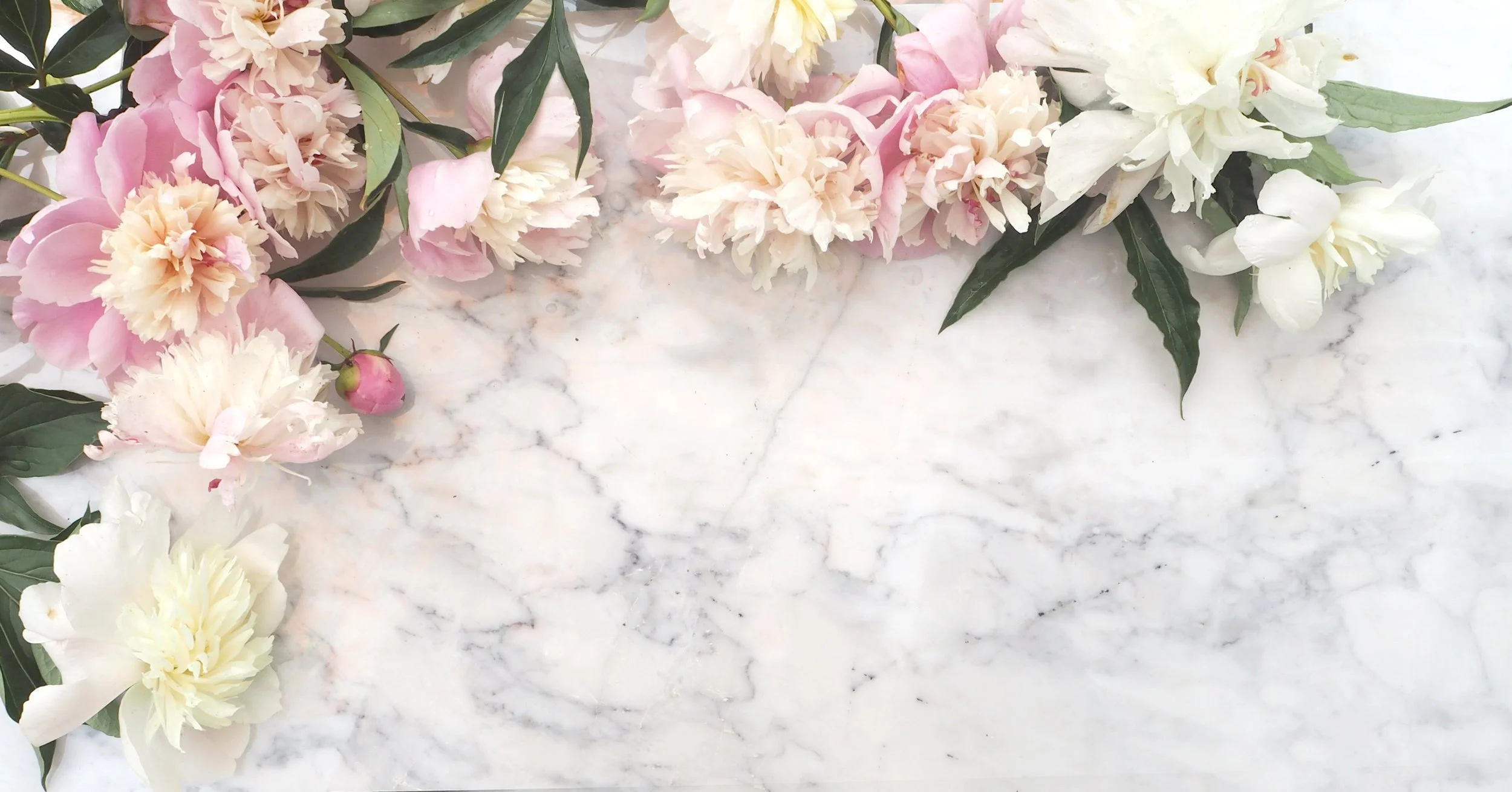 Peony5270291.JPG