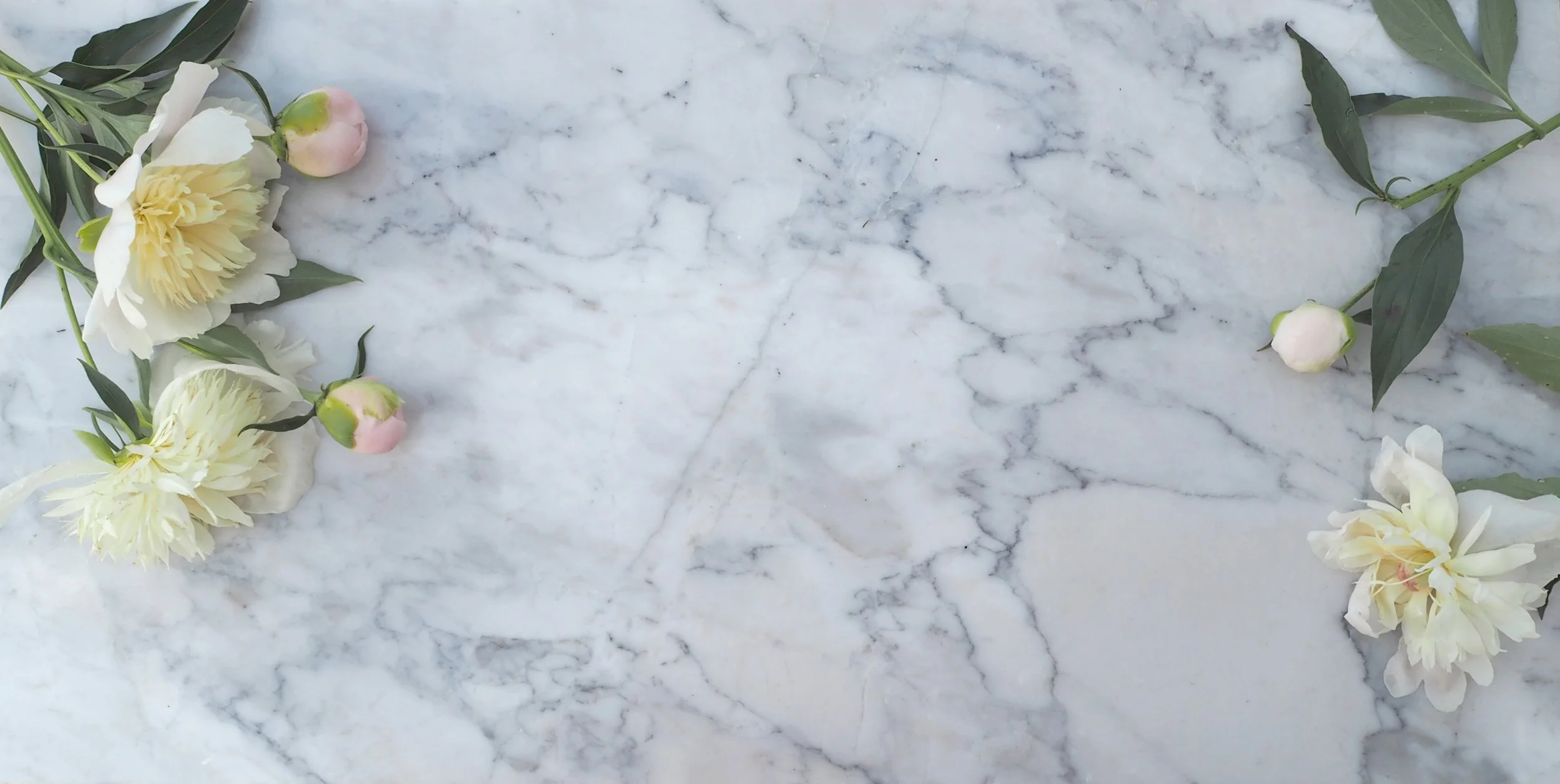 White and Pink Peonies on Marble.jpg