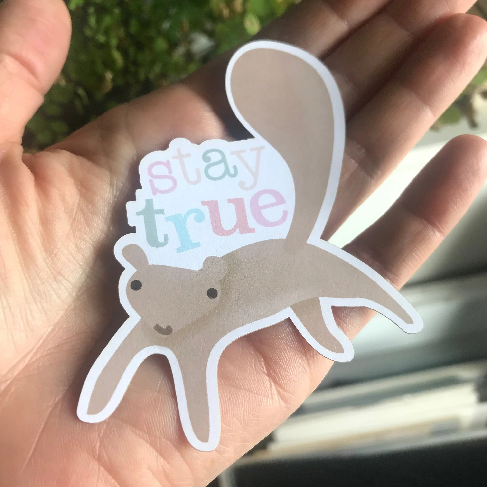 https://i.etsystatic.com/5147589/r/il/c250e7/2389747240/il_fullxfull.2389747240_ec9g.jpg