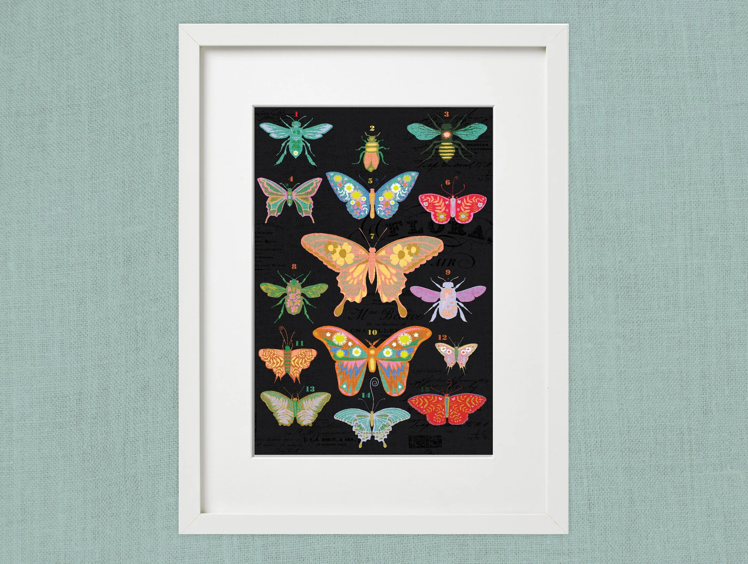 FramedArtwork_InsectChartFrames-06.jpg