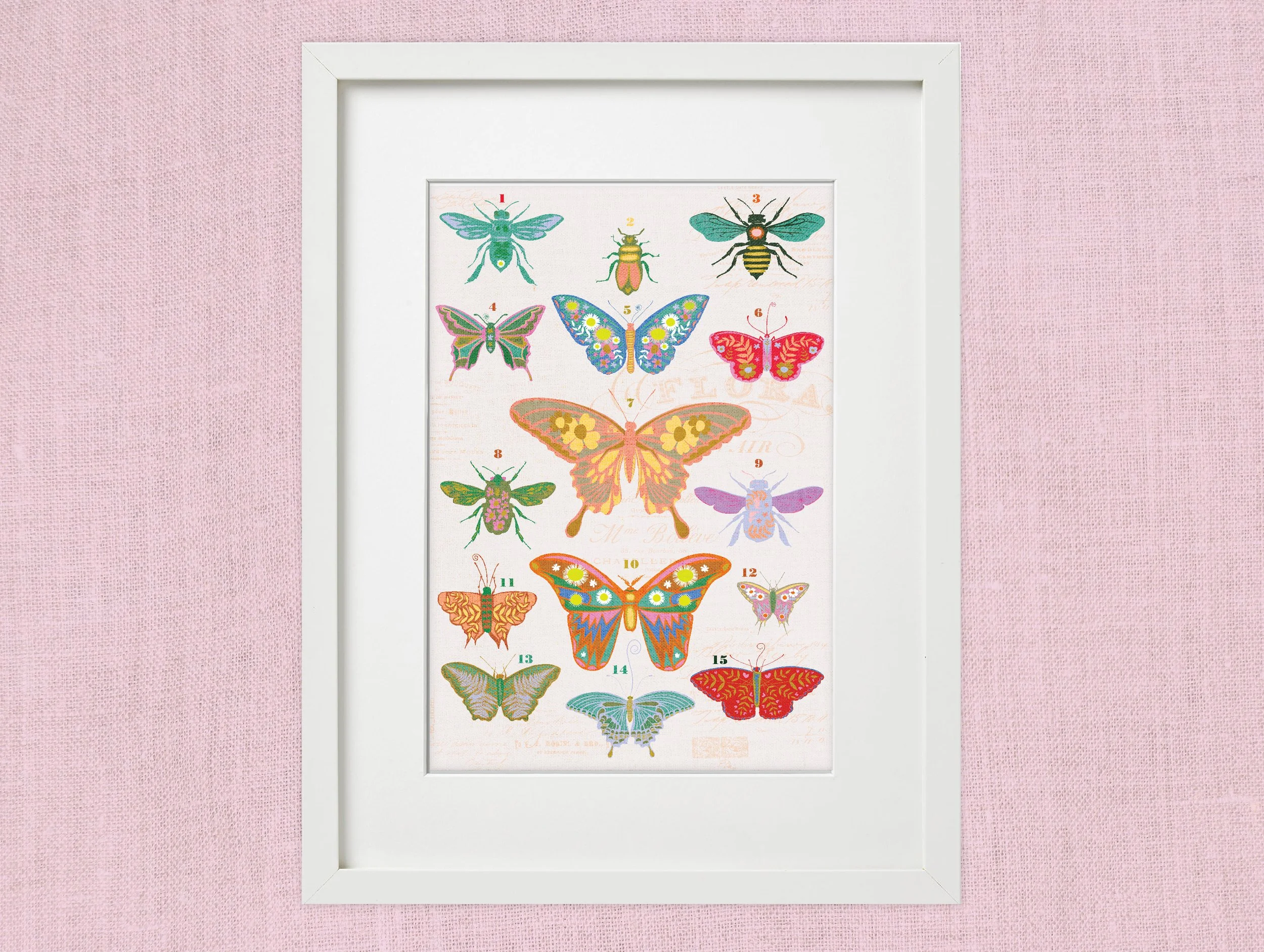 FramedArtwork_InsectChartFrames-05.jpg
