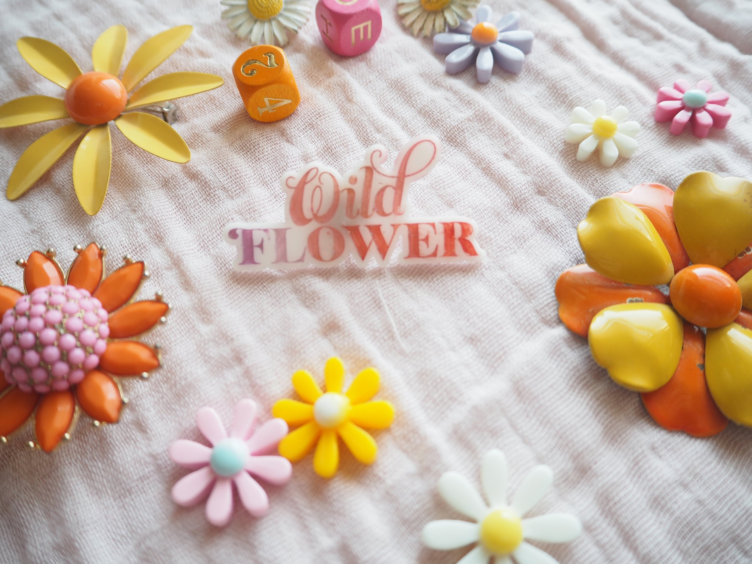 New Acrylic Broach Pins in the SHOP_090238.JPG
