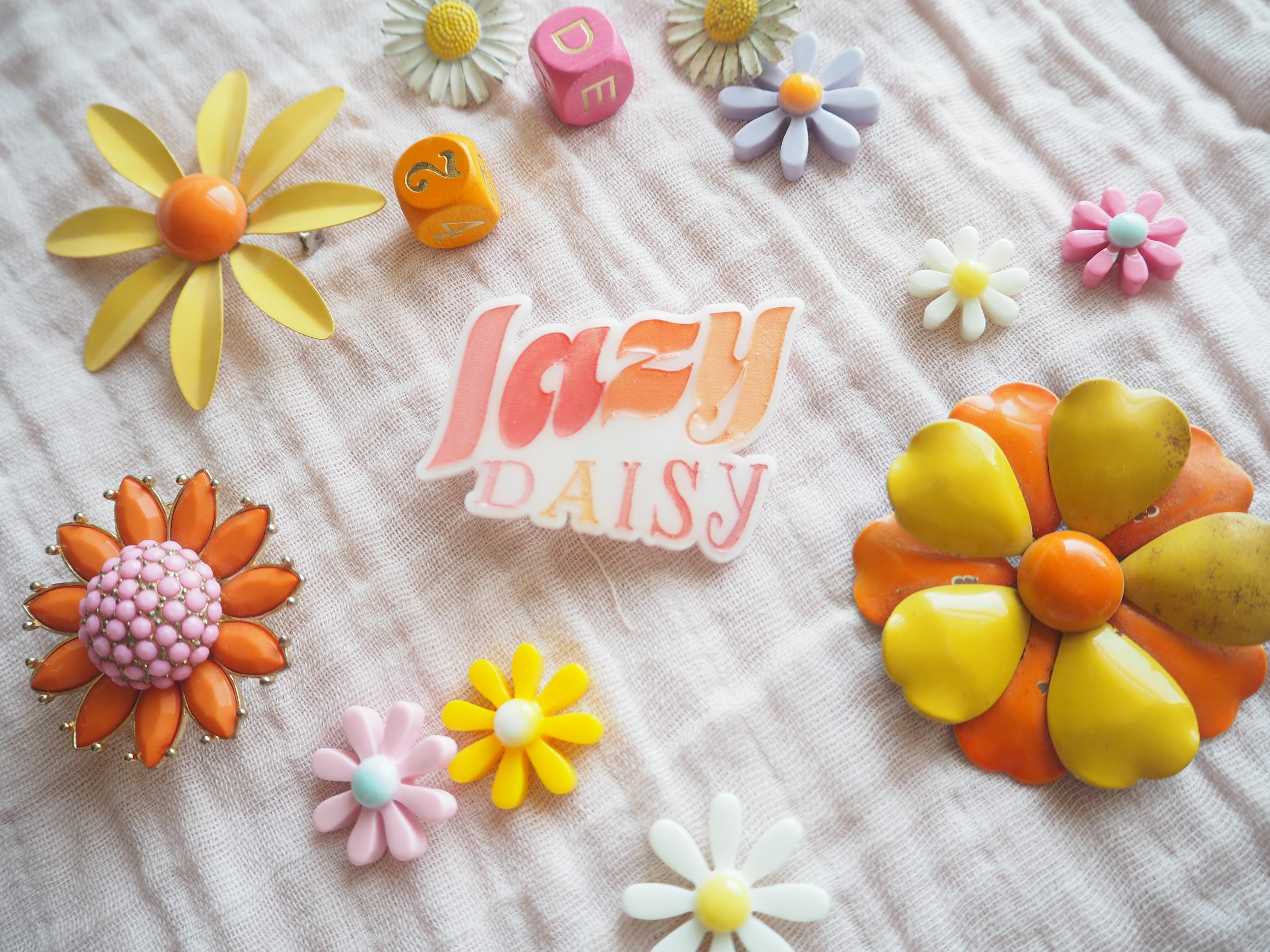 New Acrylic Broach Pins in the SHOP_090222.JPG