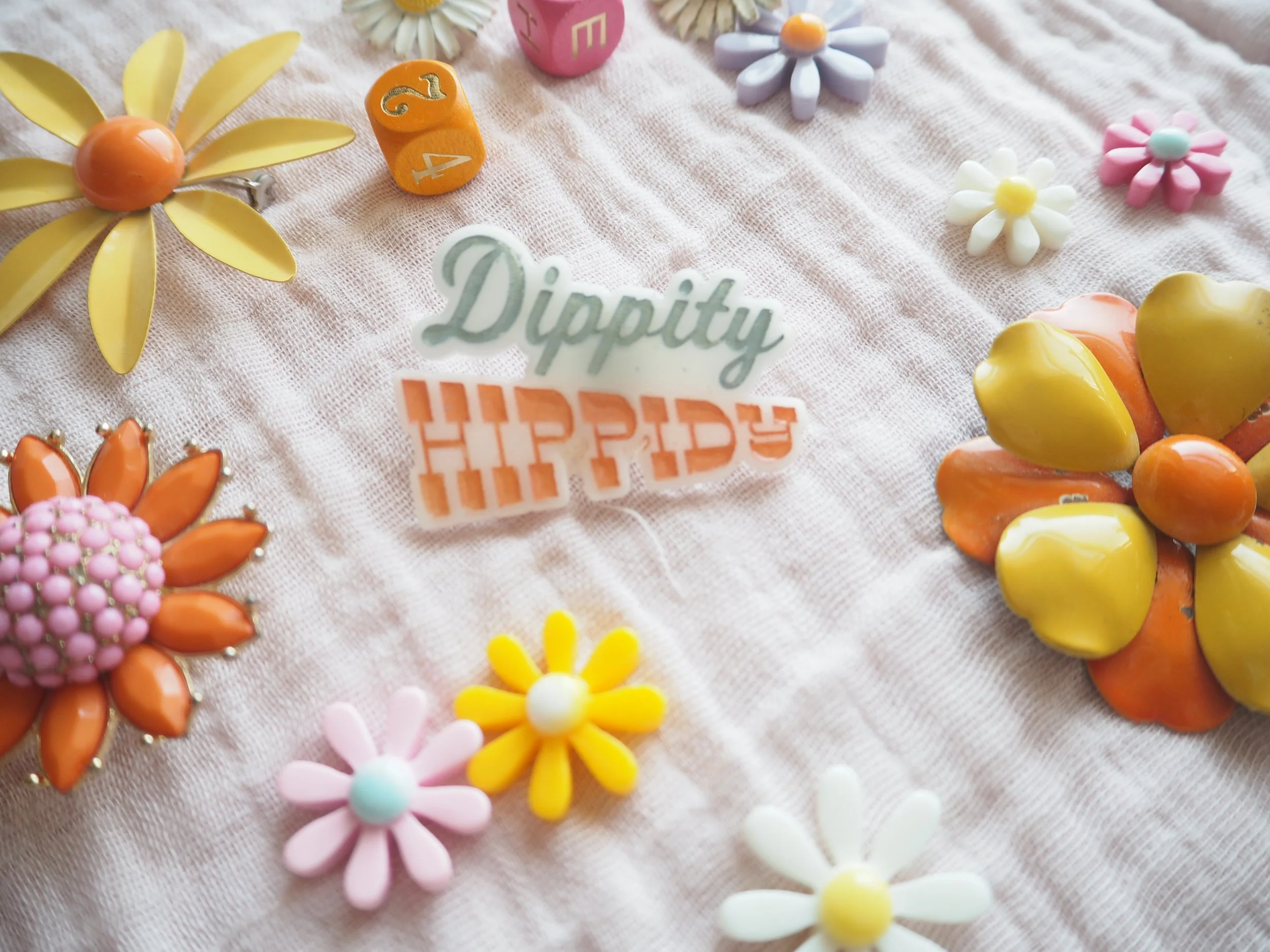 New Acrylic Broach Pins in the SHOP_090234.JPG