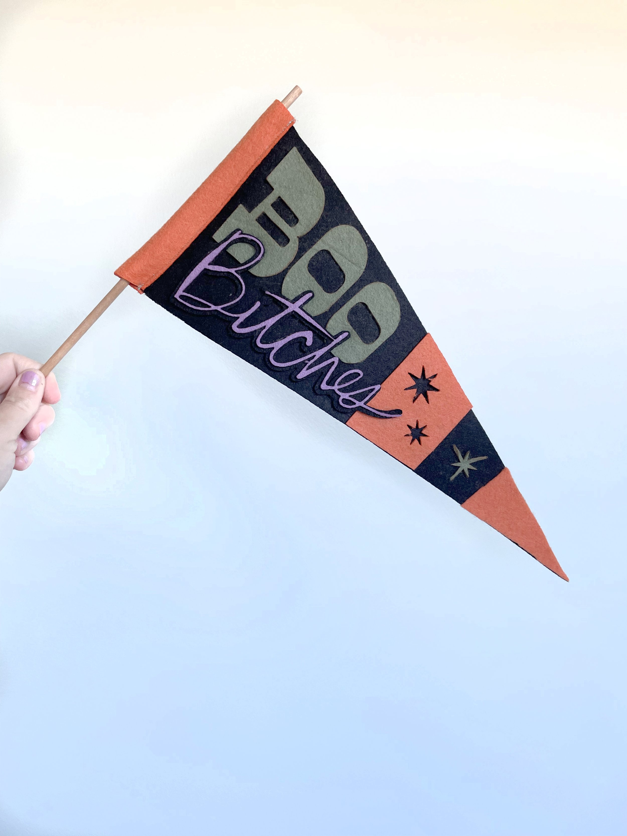 Halloween Pennants_6472 3.jpg