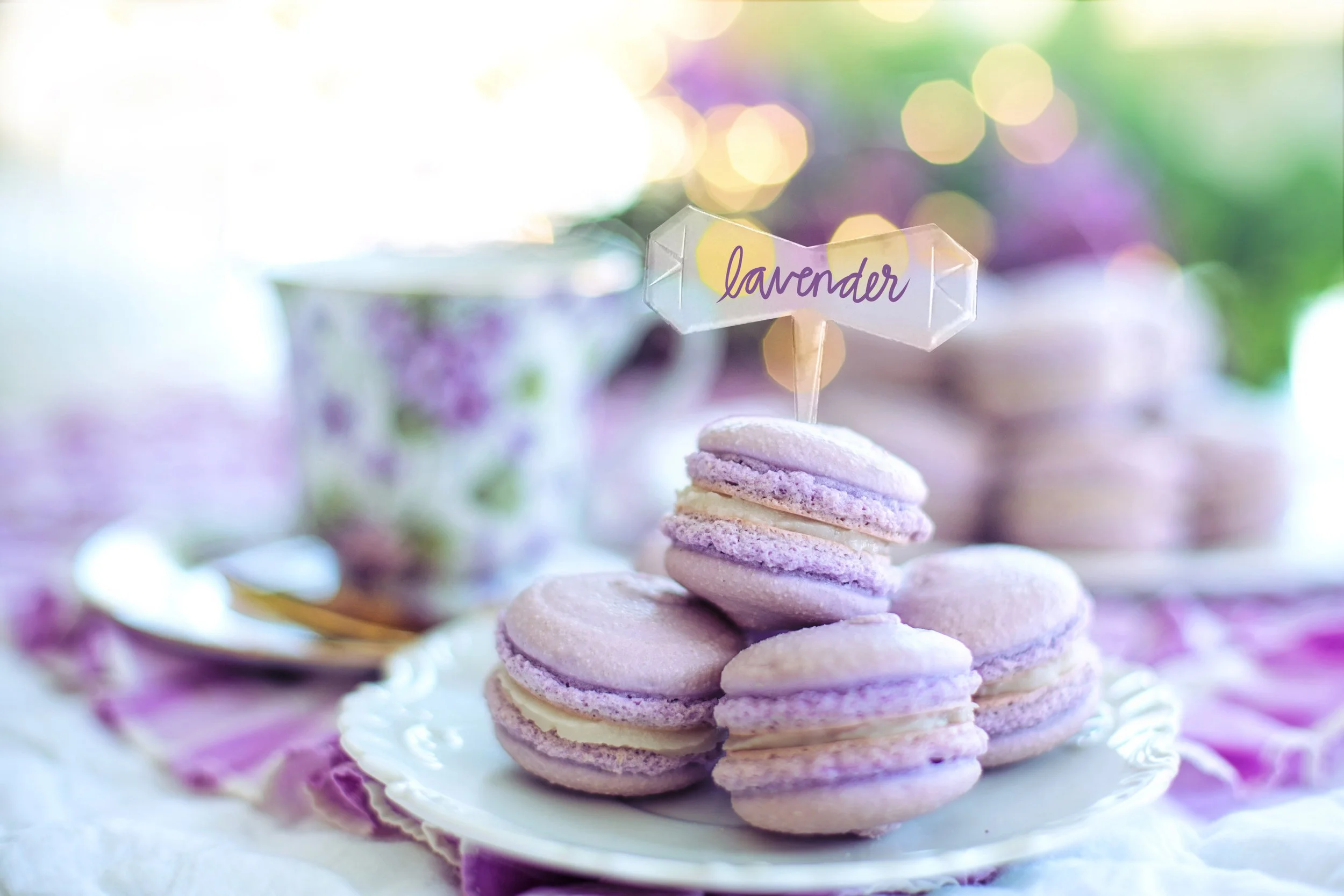 macarons-4854732 copy.jpg