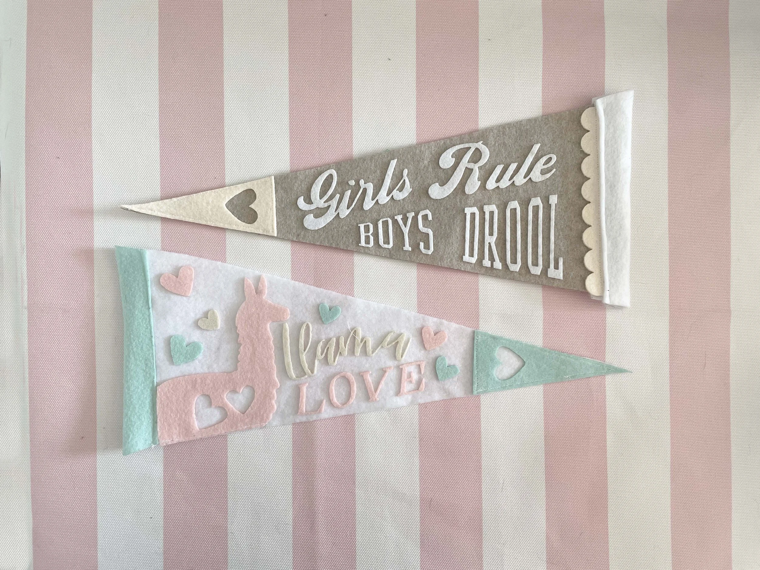 Pennants, Pennants & More Pennants_8.jpg