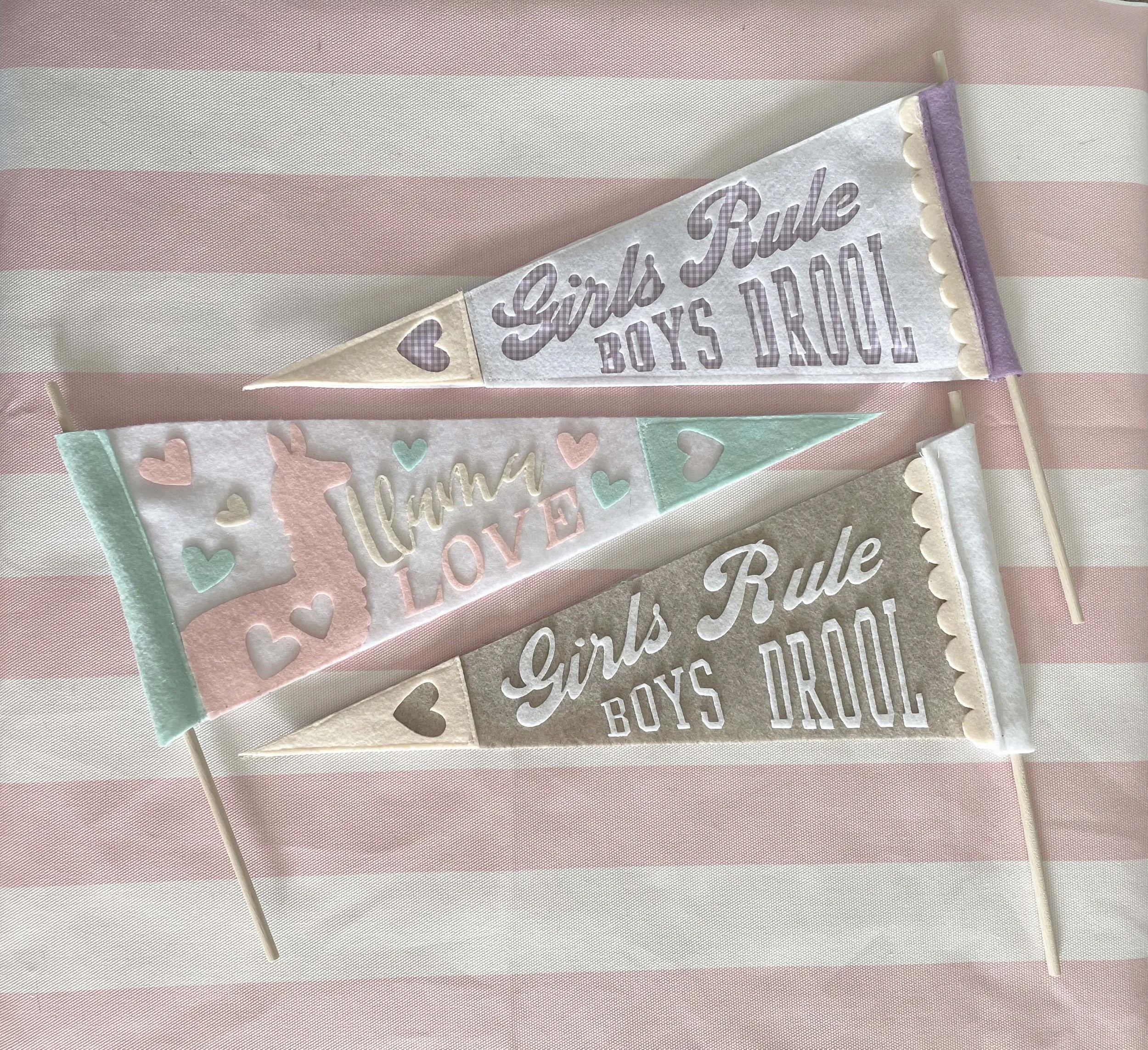 Pennants, Pennants & More Pennants_12.jpg