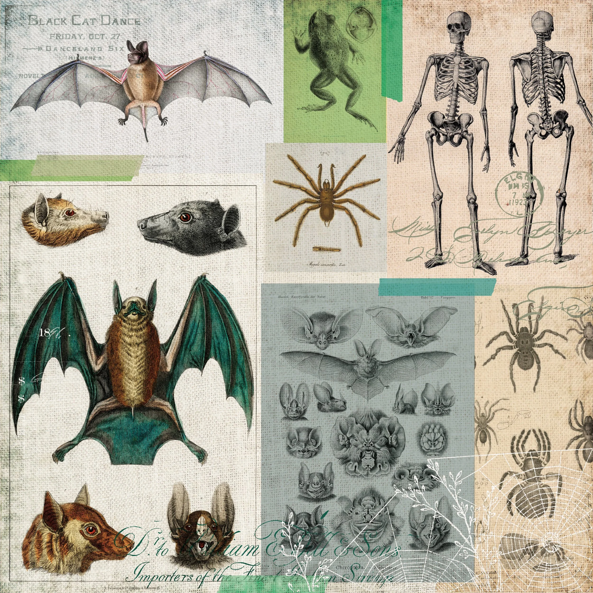 Halloween Collection_Paper3.jpg
