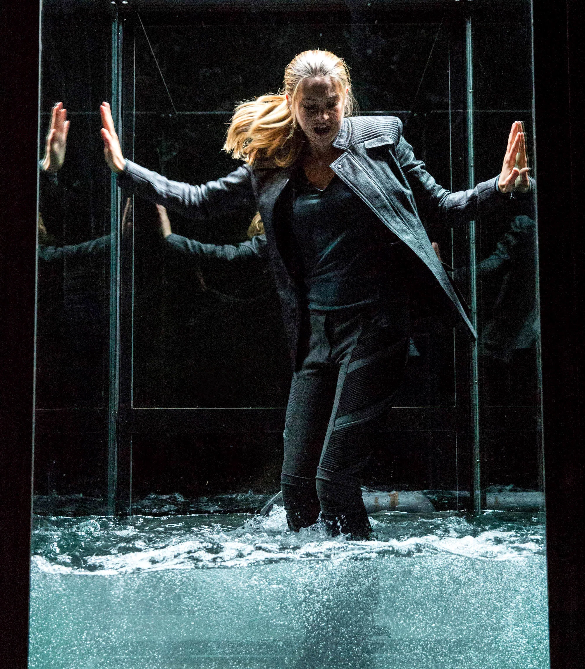 divergent5mini.jpg