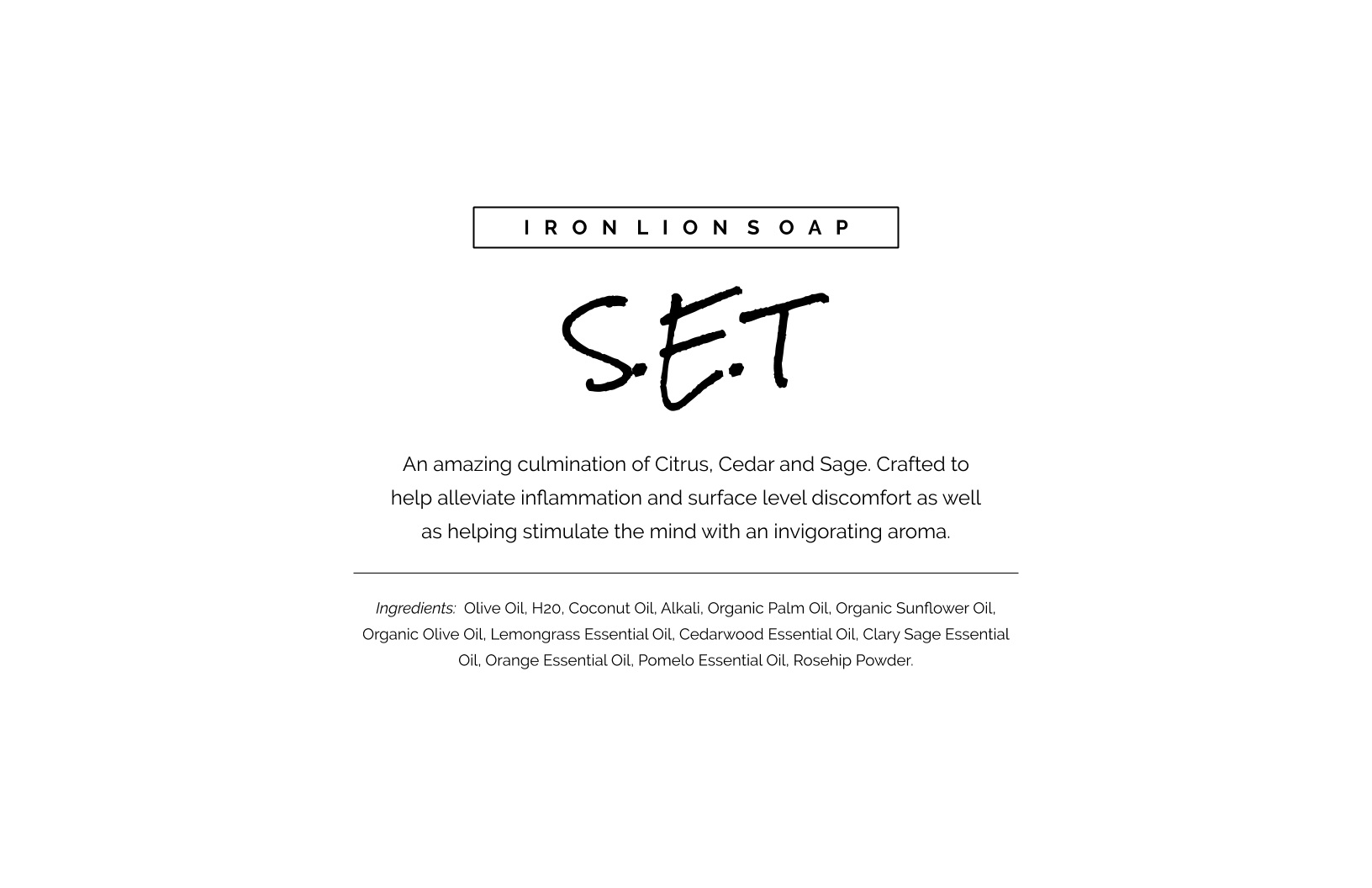 Copy of S.E.T.png