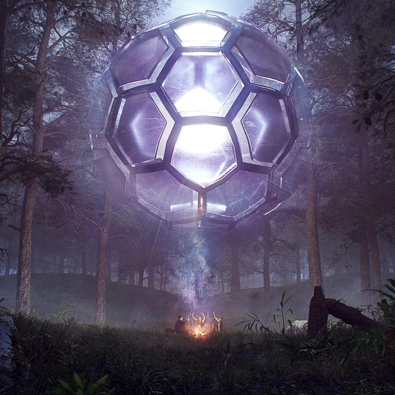 bassrush_forest_03.jpg