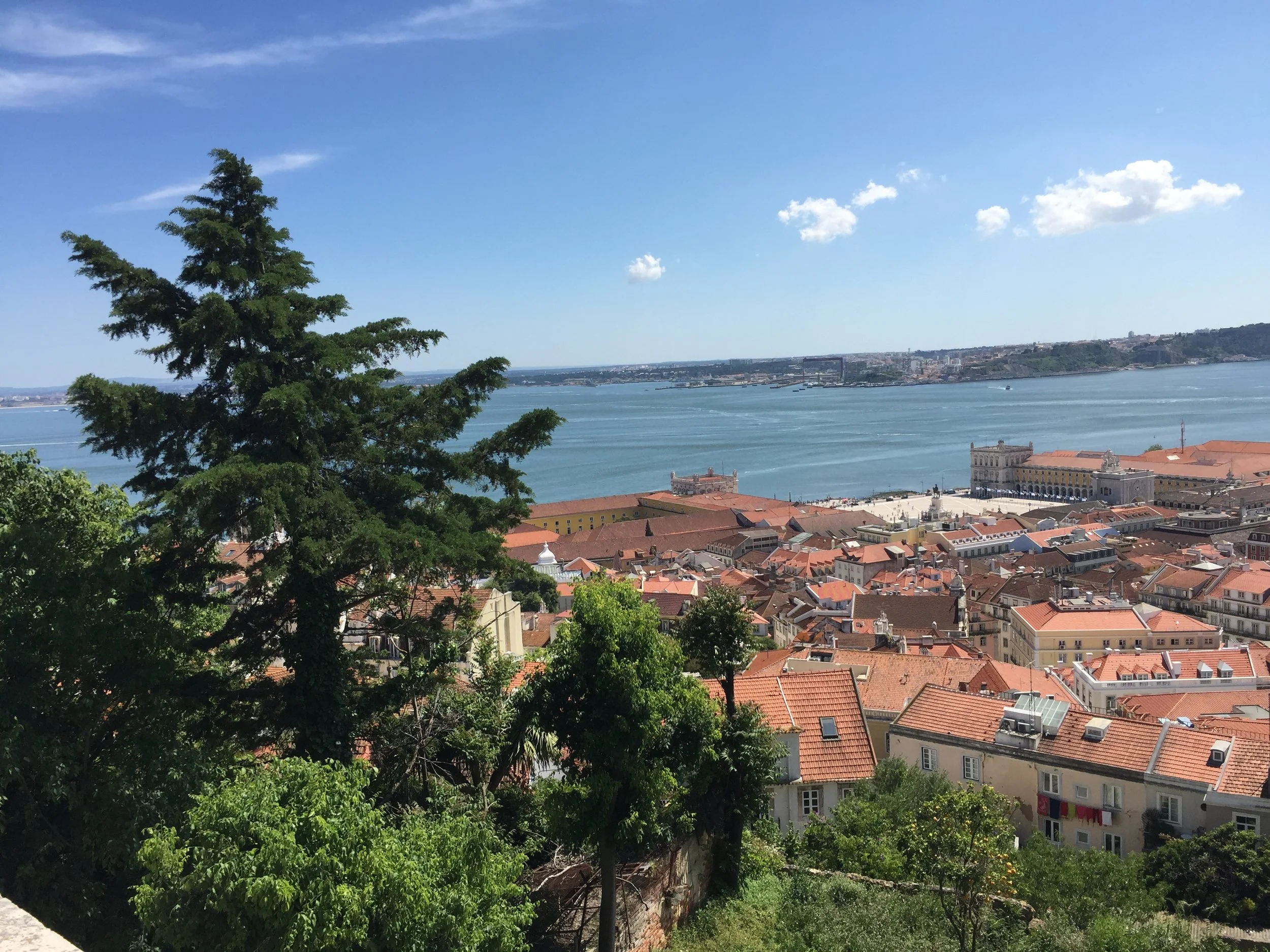 Another view from the Castelo.