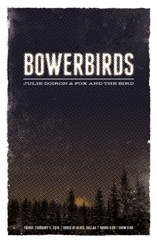 Bowerbirds.jpg