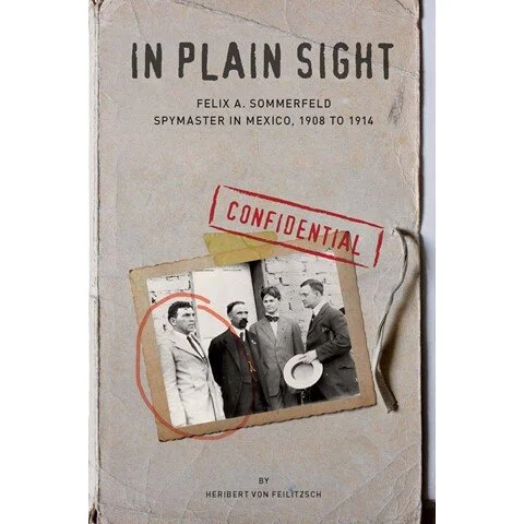 In Plain Sight square picture.jpg