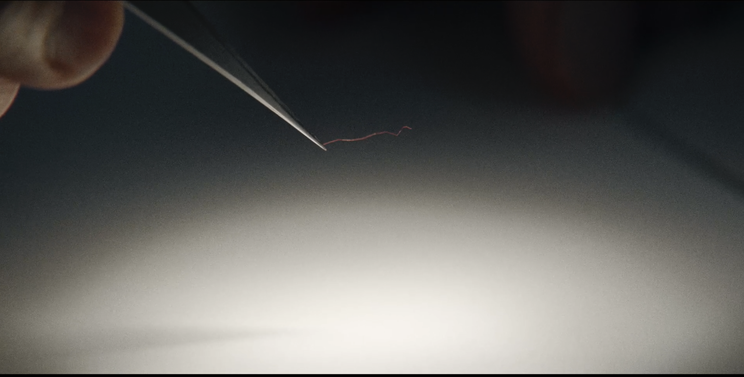 Screen Shot 2022-01-05 at 4.39.17 PM.png