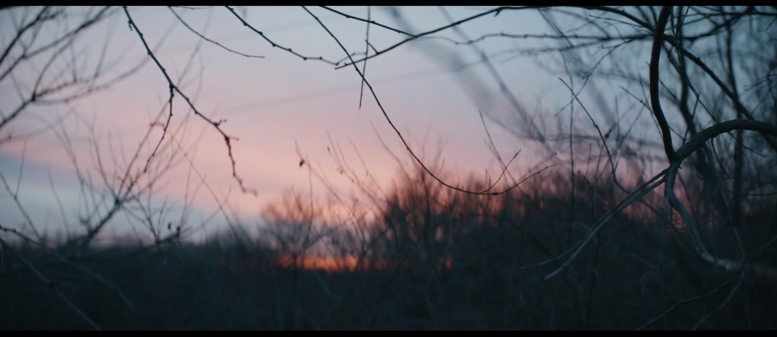 Screen Shot 2022-01-05 at 5.22.41 PM.png