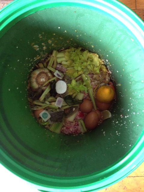 compost bucket in action