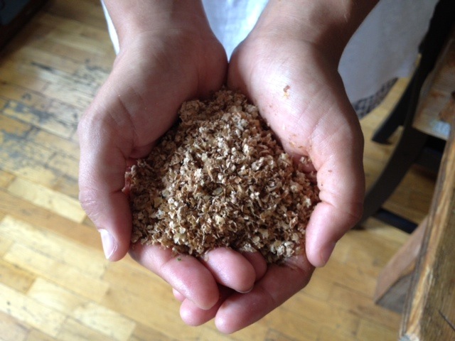 the fermented bran we use to activate our compost on set