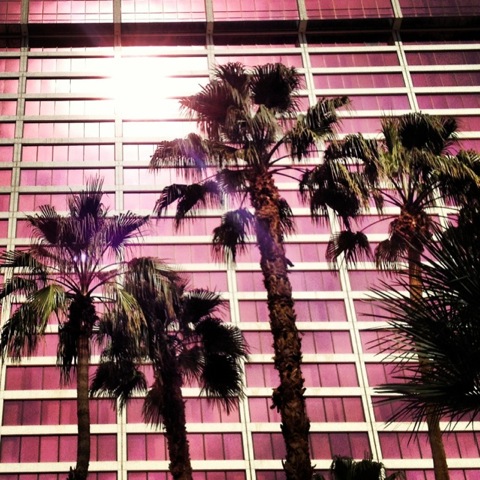 neon palm trees and las vegas 