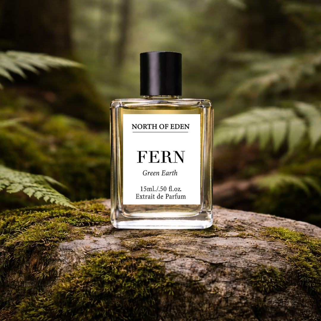 Fern Lifestyle Image