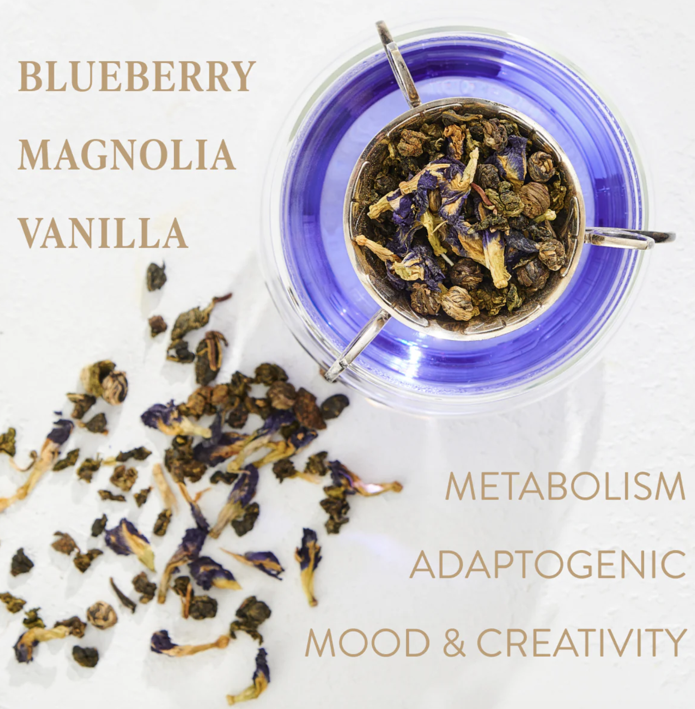 Screenshot 2025-11-14 at 12.16.21 PM.png