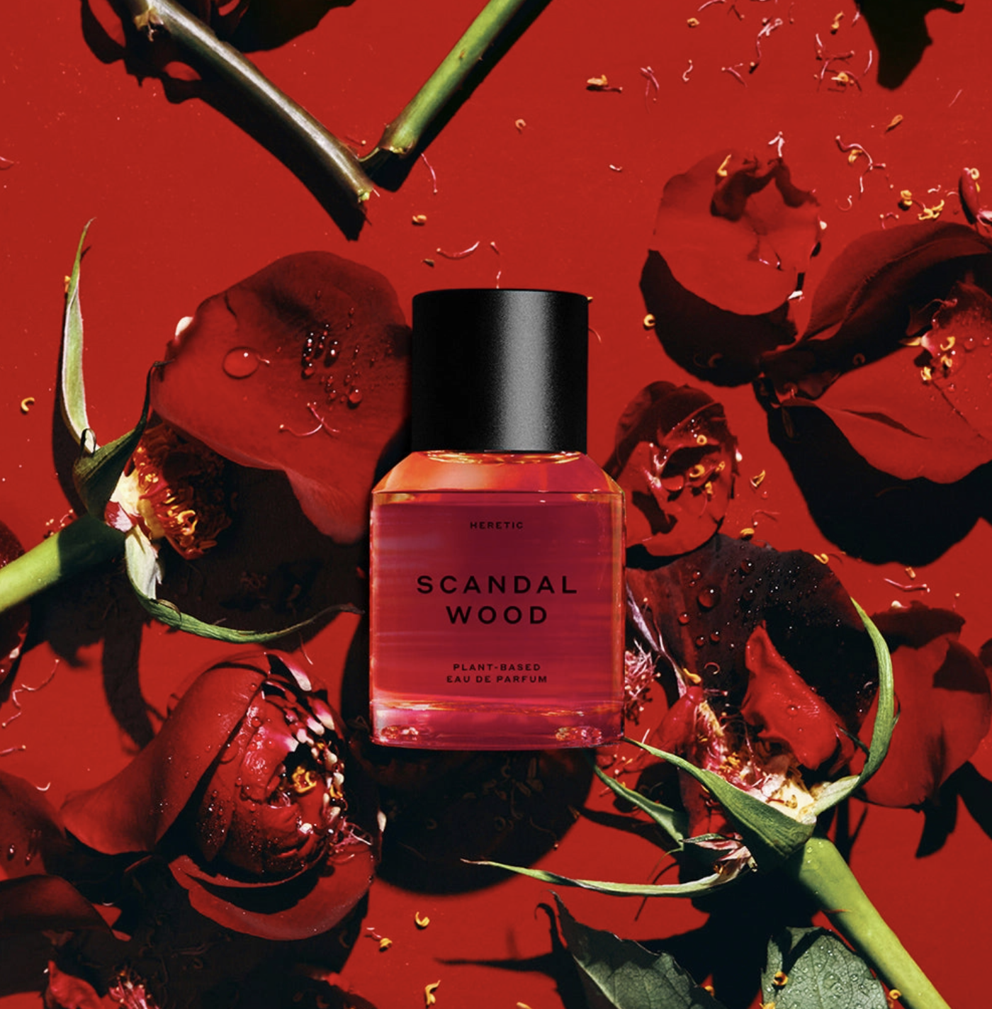 Screenshot 2026-02-03 at 9.34.46 AM.png