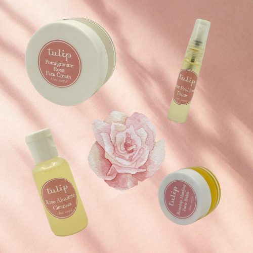 Tulip Cell Remedy Discovery Kit — Tulip