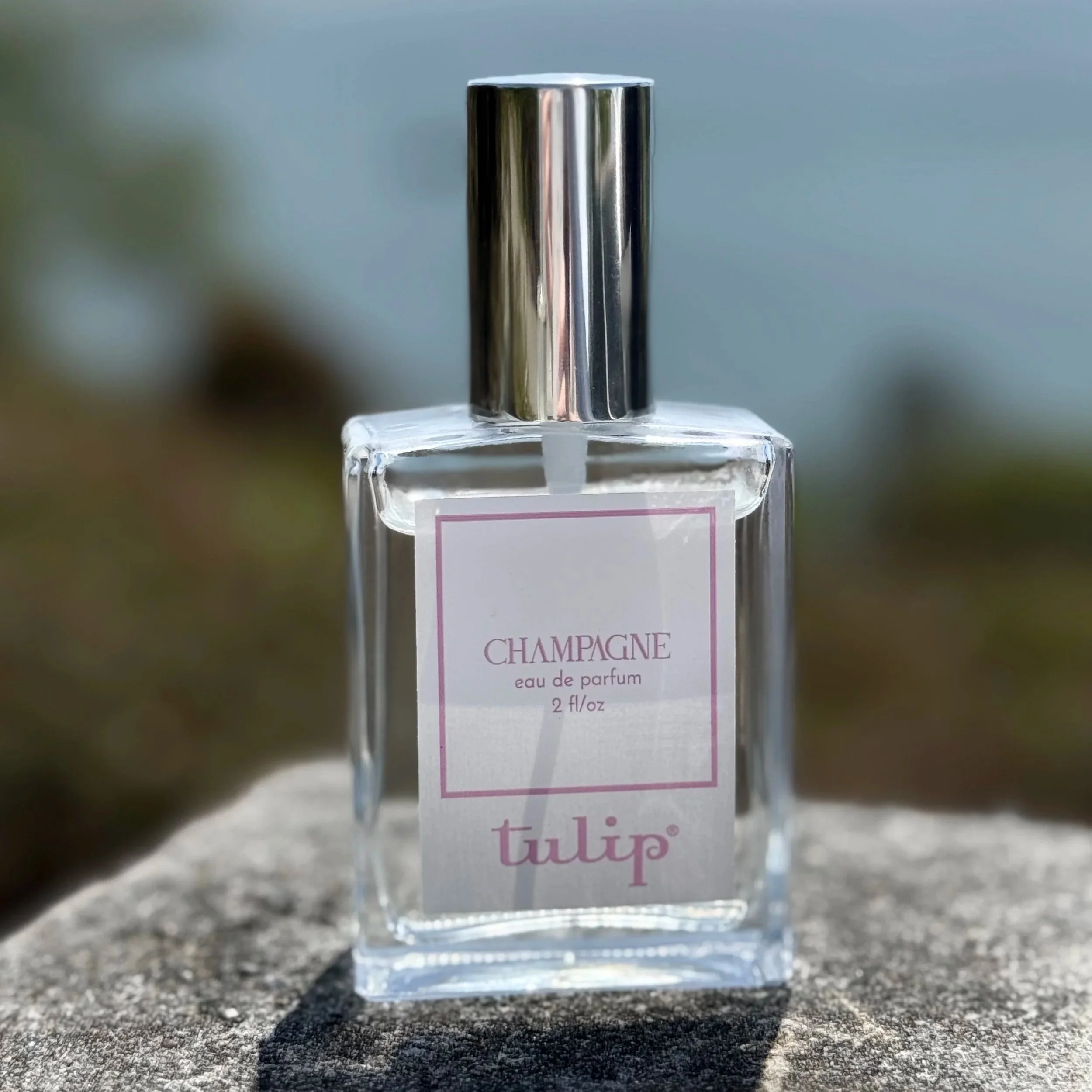 champaagne+with+view+1.jpg