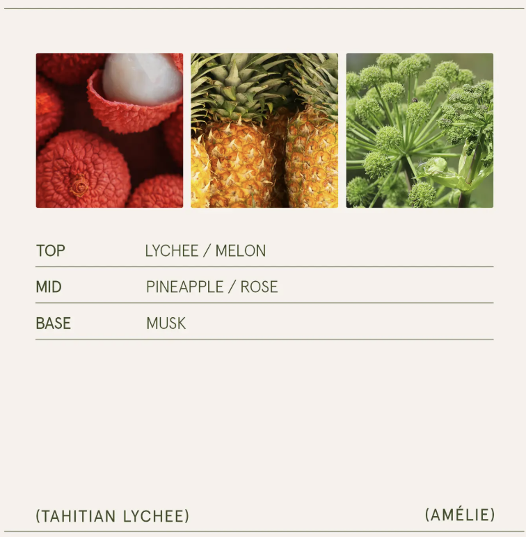 Screenshot 2025-11-14 at 1.01.03 PM.png