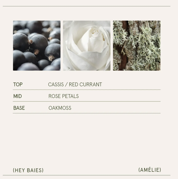 Screenshot 2025-11-14 at 12.33.34 PM.png