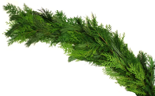 G25PC_Pine_Cedar_Garland.jpg