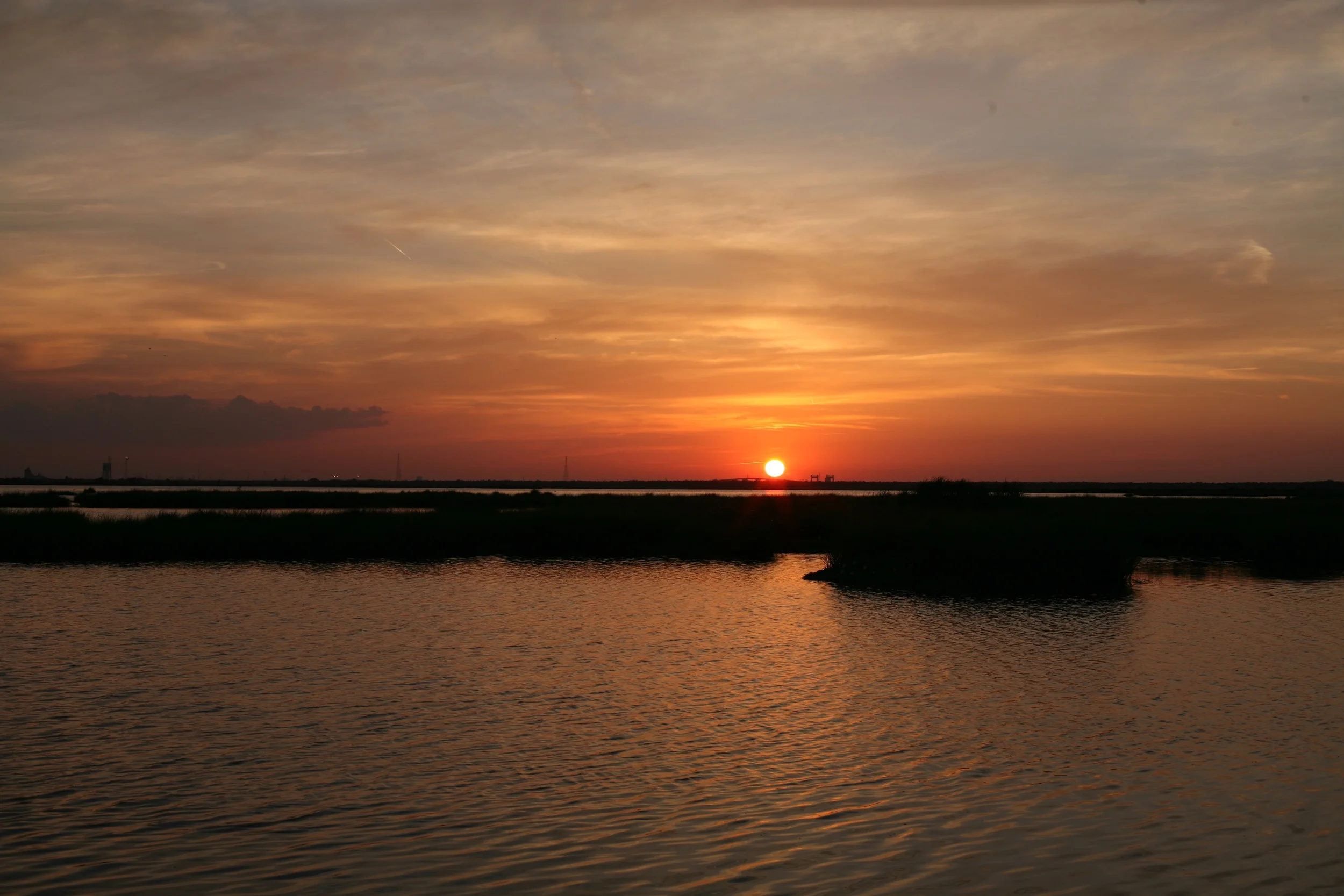 IMG_2497.jpg