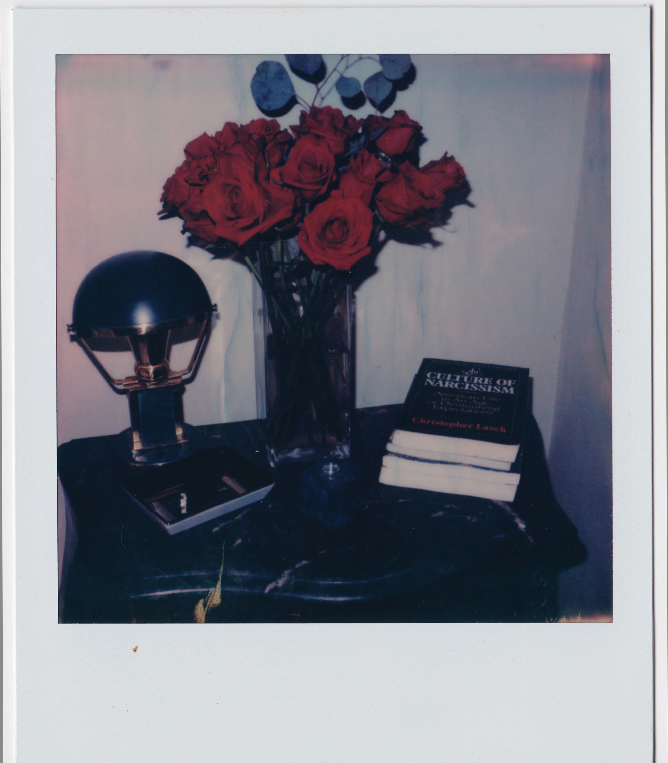 POLAROID005.jpg