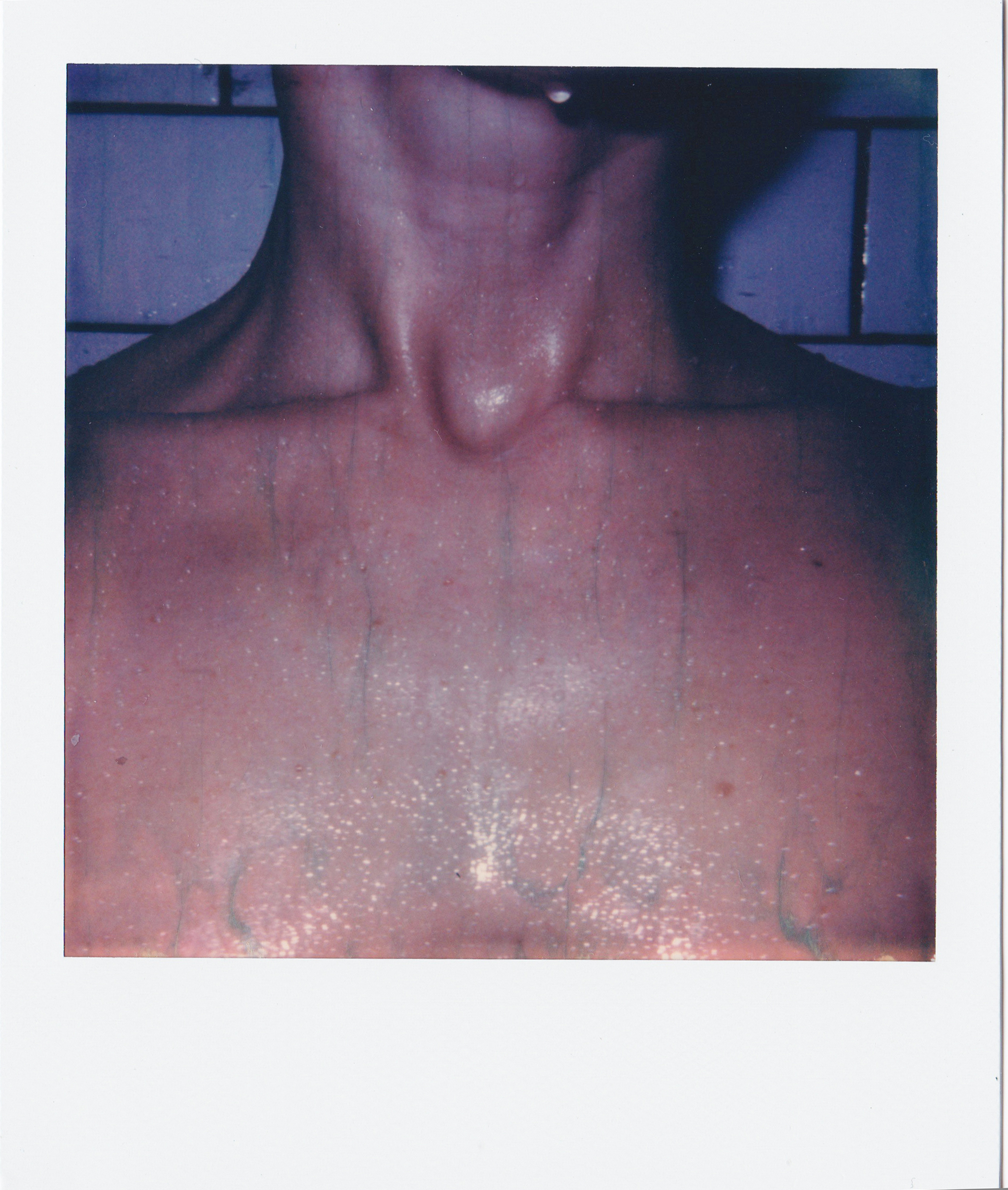 POLAROID007.jpg