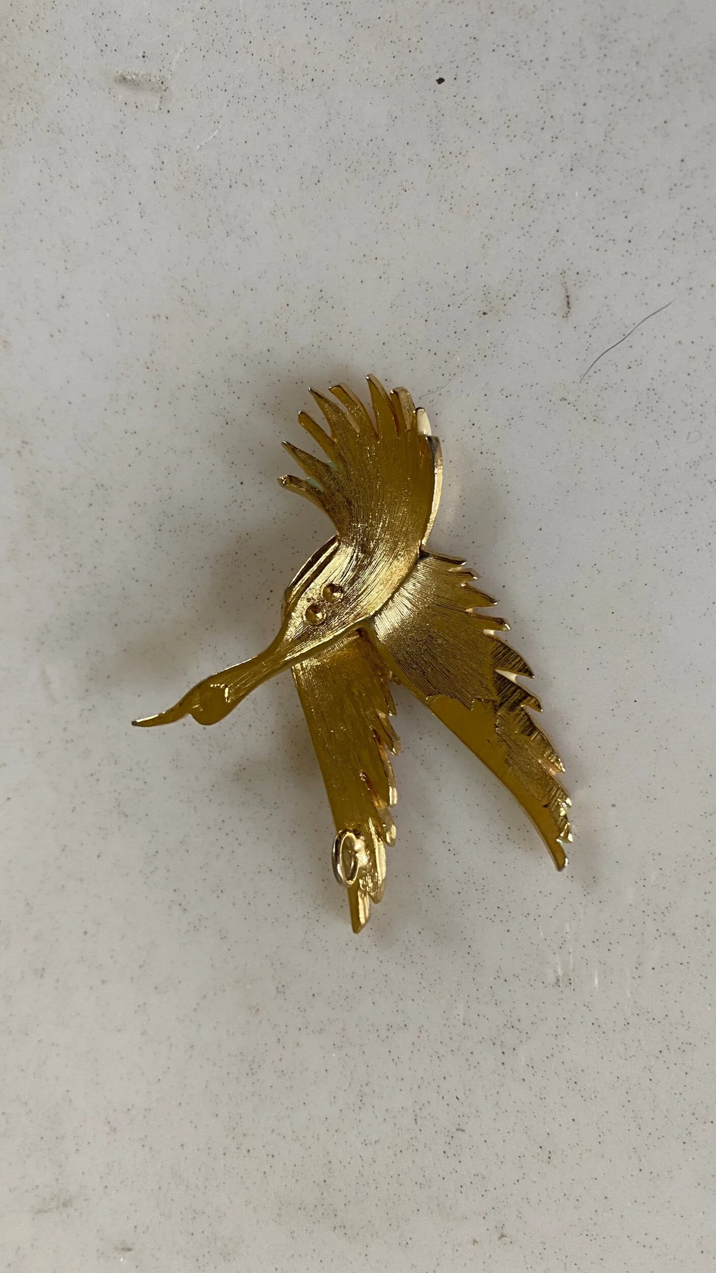 1F636403-A975-4503-848C-E1086F133E0B