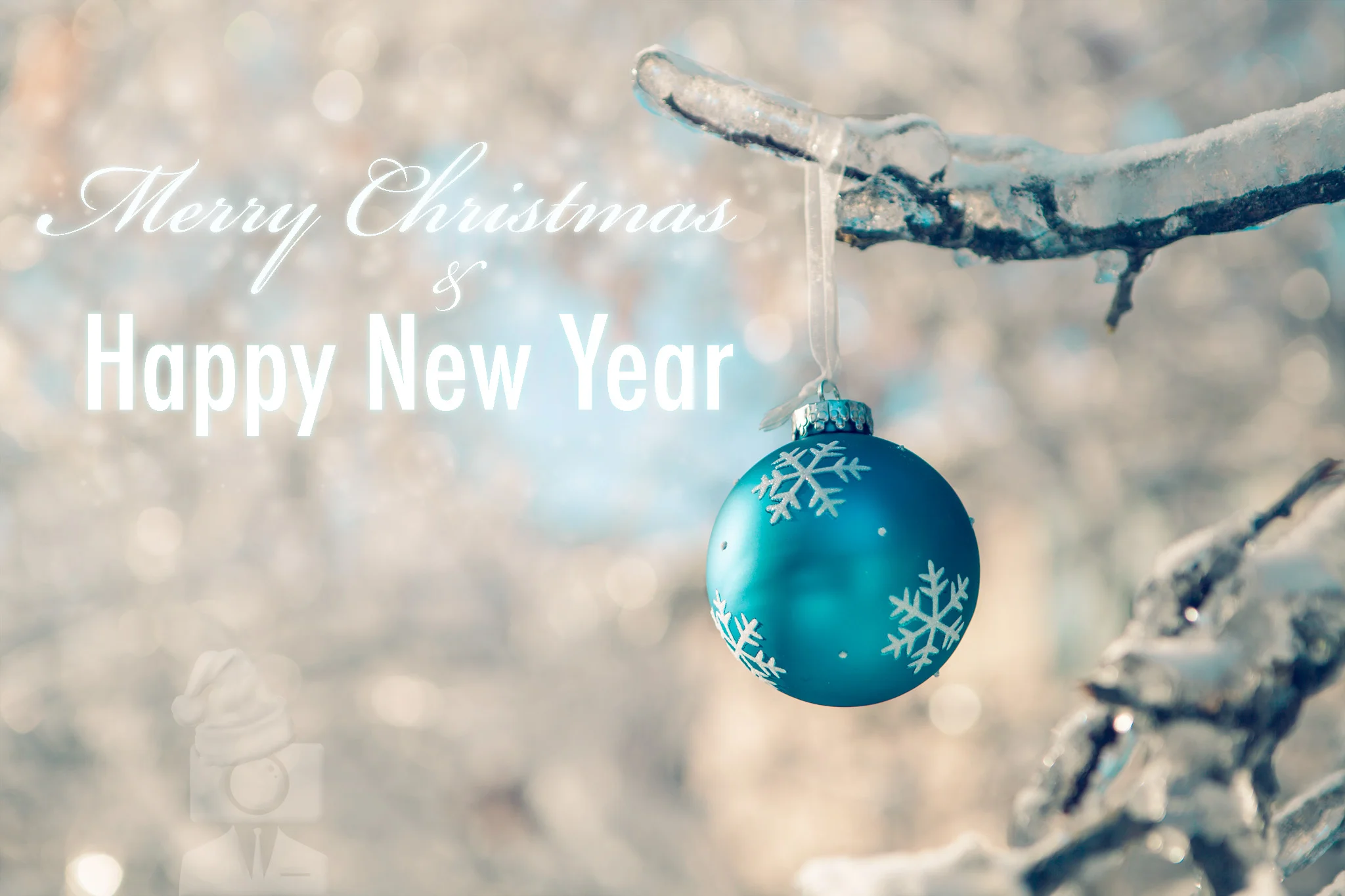 Merry-Christmas-happy-new-year-ice-toronto-photographer-shayne-gray.jpg