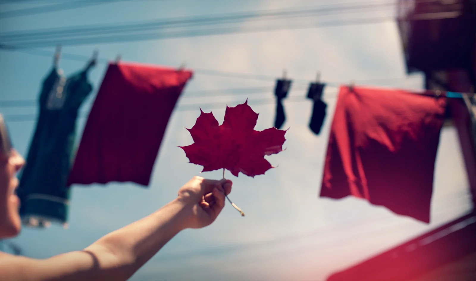 happy-canada-day--shaynegray.jpg