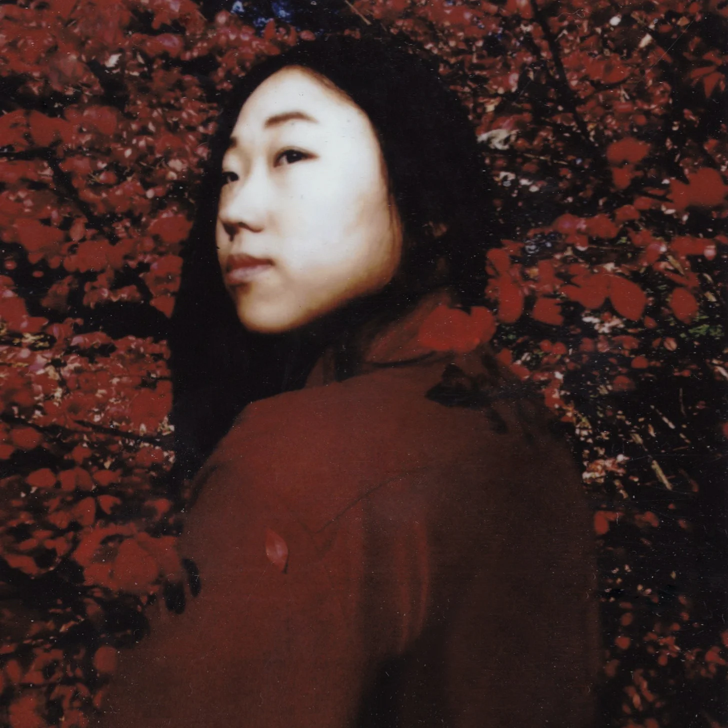 Heana-1.jpg