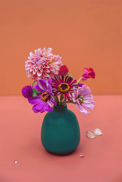 Kale-Bud-Vase.gif